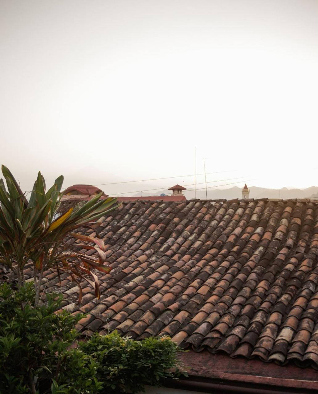 Posada Galeria Alberto Sedas Huatusco Exterior photo