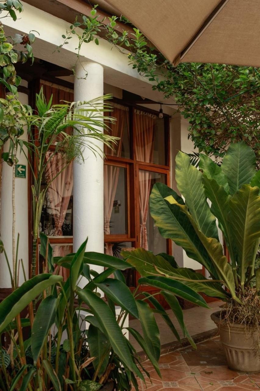 Posada Galeria Alberto Sedas Huatusco Exterior photo
